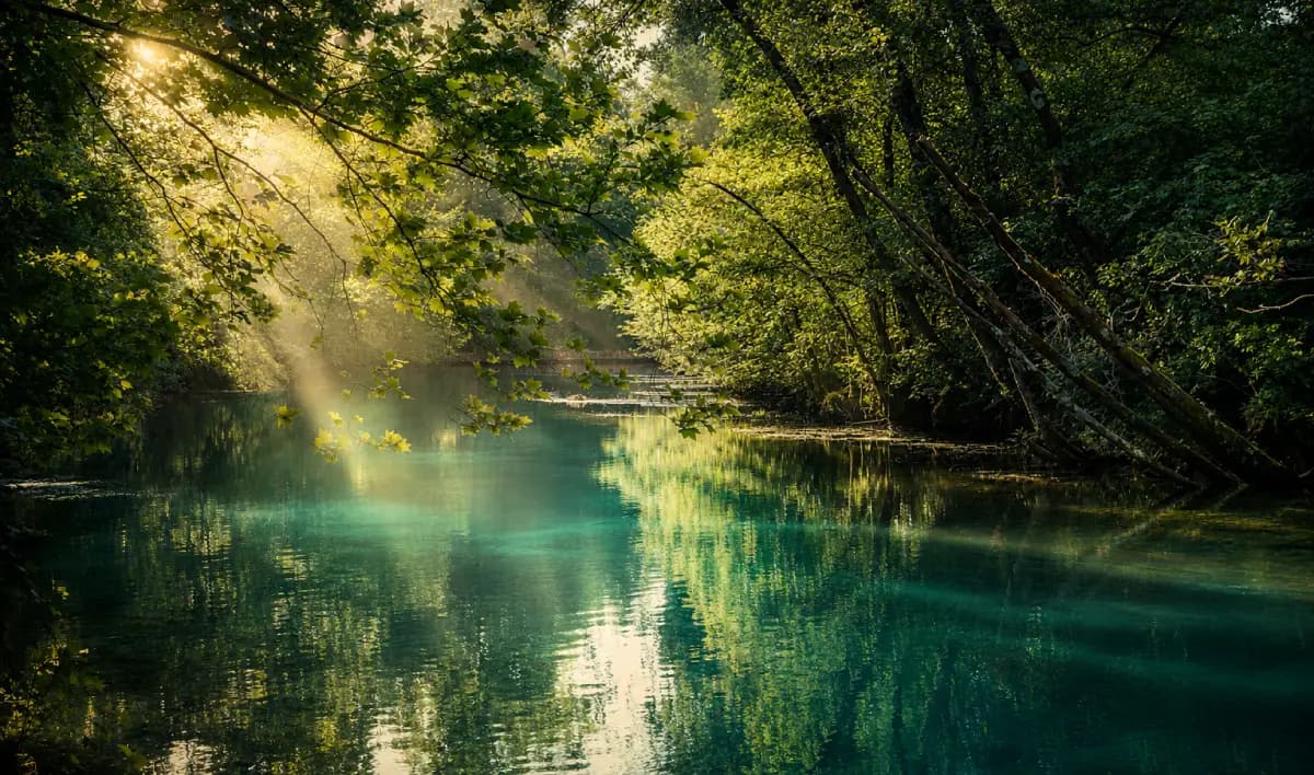 I raggi del sole filtrano tra la vegetazione che circonda il fiume Livenza e si riflettono sulla sua superficie.