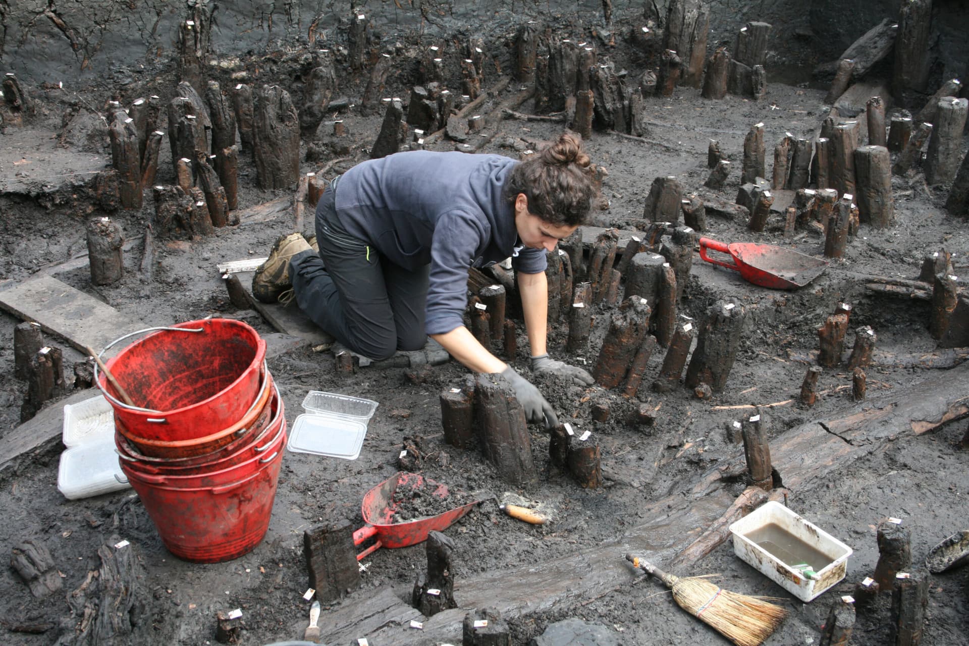Un’archeologa è inginocchiata mentre scava tra numerosi pali lignei piantati nel terreno.